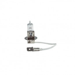 AMPOULE H3 12V 55W
