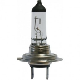 AMPOULE H7 12V 55W