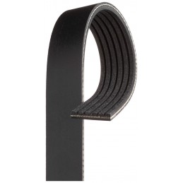COURROIE 6PK1020EST